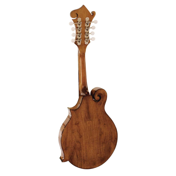 Barnes & Mullins BM650 Salvino Mandolin
