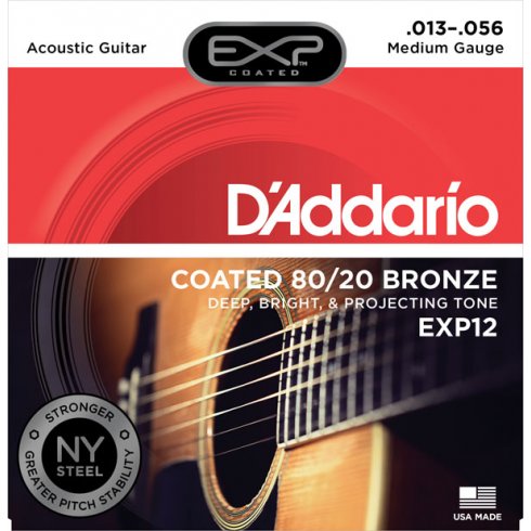 D'Addario EXP12 80/20 Guitar Strings 13-56