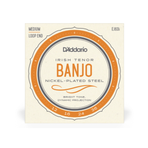 Daddario EJ63I Irish Tenor Banjo Strings Nickel 12-36