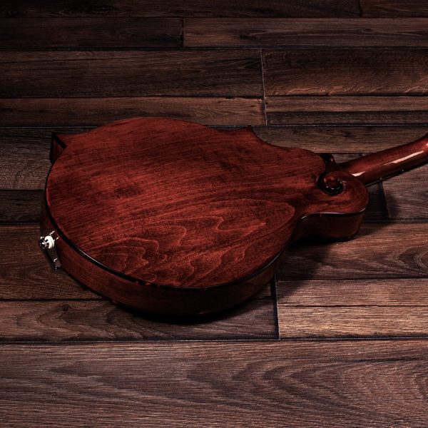 Barnes & Mullins BM650 Salvino Mandolin