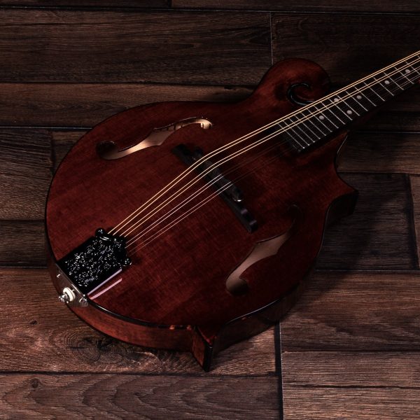 Barnes & Mullins BM650 Salvino Mandolin