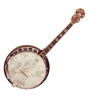 Barnes & Mullins BJ504BWGT Empress Tenor Banjo