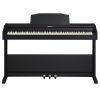 Roland RP-102 Digital Piano - Contemporary Black