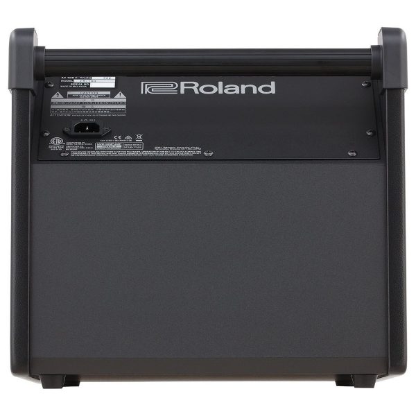 Roland PM-100 Personal Drum Monitor Amplifier