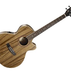 Cort SFX-DAO Acoustic Electro Guitar