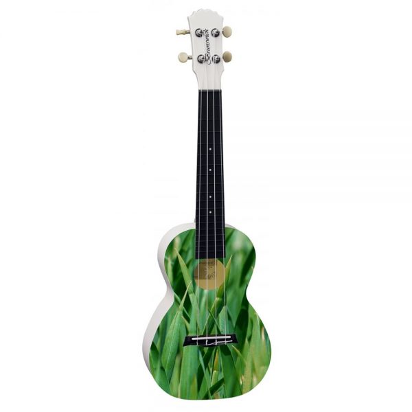 Brunswick BU50 Concert Ukulele Meadow