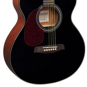 Brunswick BFL200BK Black Guitar