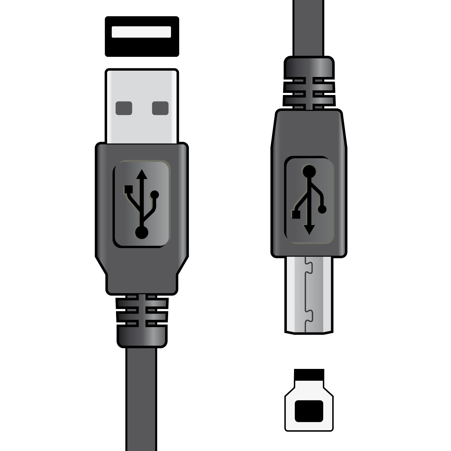 Av Link Usb 2 0 Type A Plug To Type B Plug Lead Trax Music Store