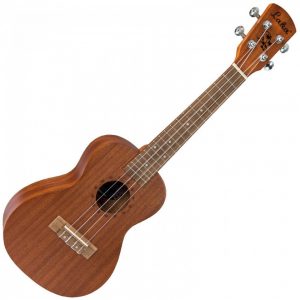 Laka VUC5 Concert Ukulele and Bag Natural