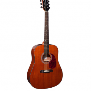 Brunswick BD200M Acoustic Dreadnought Mahogany