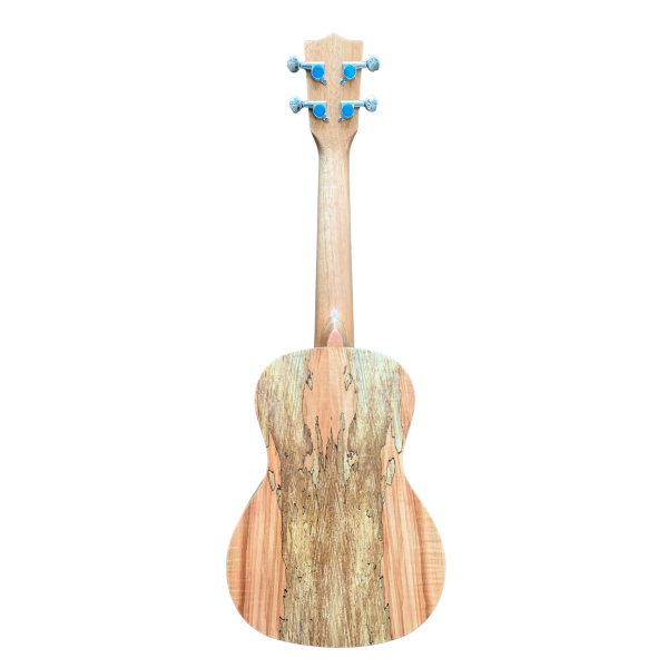 Trax Concert Ukulele Solid Spruce Spalted Maple