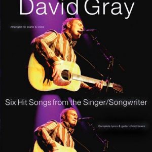David Gray The Hit Singles Guitar