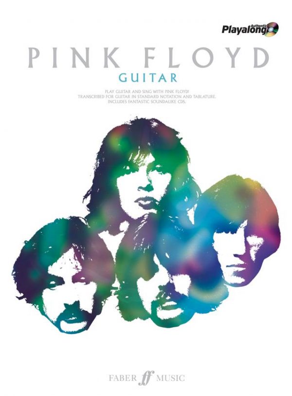 Pink Floyd Guitar