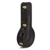 Koda 17 Fret Tenor Banjo Wood Case Arch Top