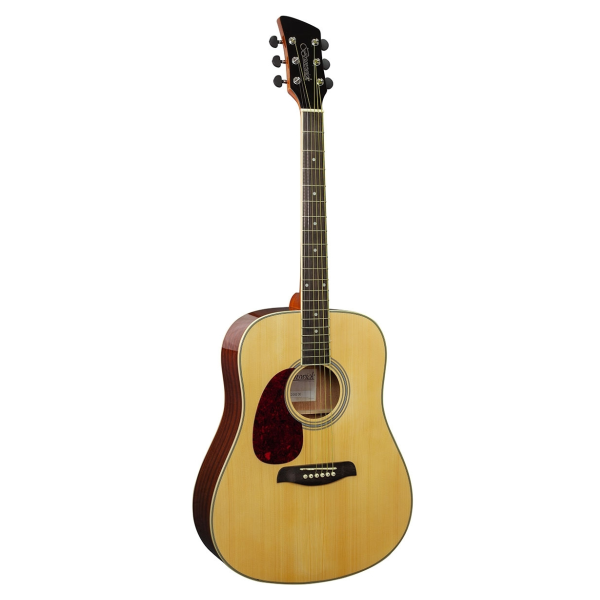 Brunswick BDL200 Dreadnought Natural Left Handed