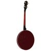 Heartland 4 String Tenor Banjo 19 Fret 24 Bracket
