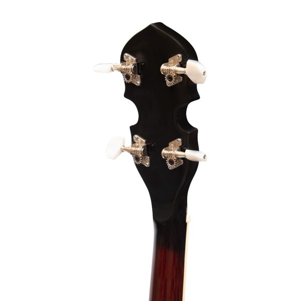 Heartland 4 String Tenor Banjo 19 Fret 24 Bracket