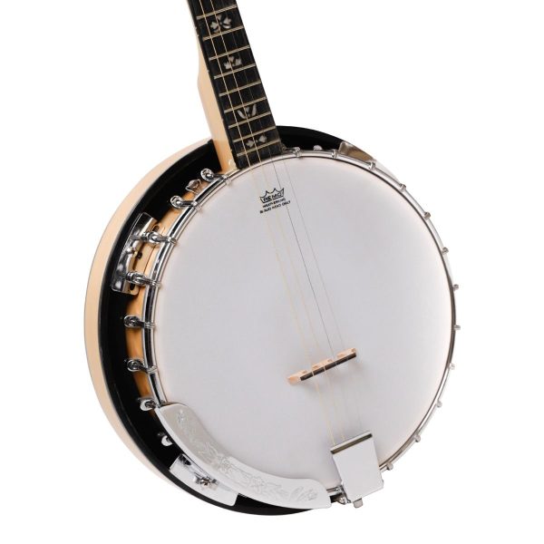 Heartland Deluxe 4 String Tenor Banjo 19 Fret 24 Bracket Maple