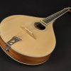 Richwood RIMA40 Master Series Irish Mandola Solid Spruce Top