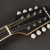 Richwood RIMA40 Master Series Irish Mandola Solid Spruce Top