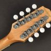 Richwood RIMA40 Master Series Irish Mandola Solid Spruce Top