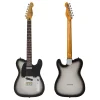 Vintage V75 ReIssued Electric Guitar Silverburst