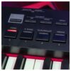 Roland RD-88 EX Compact 88 Key Stage Piano