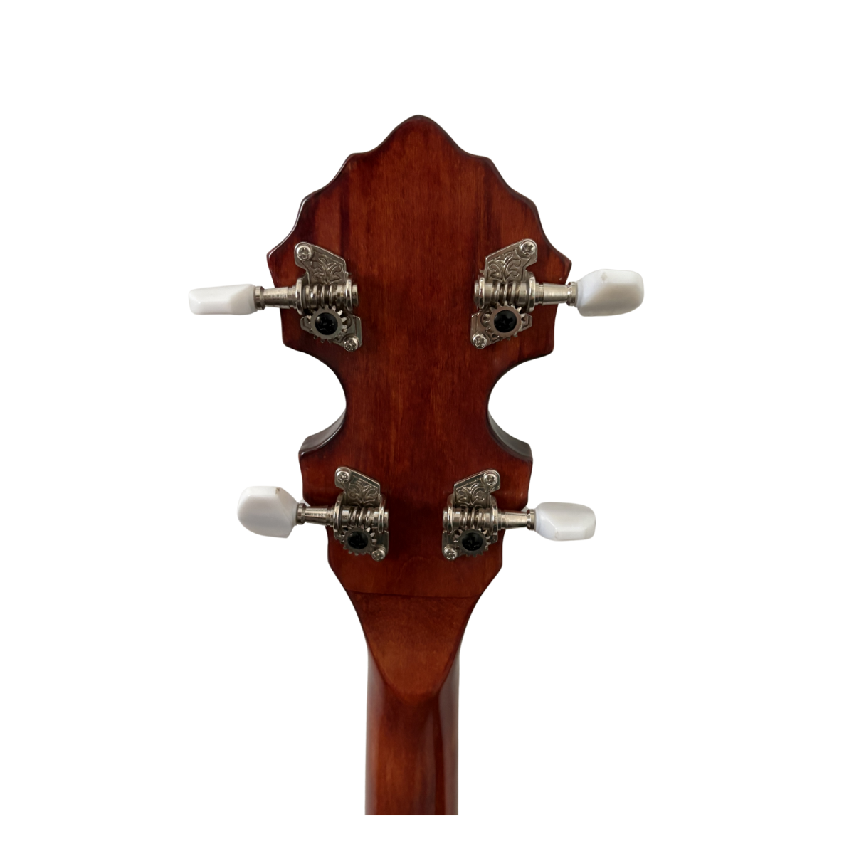 Trax TBJ2419 4 String Tenor Banjo 19 Fret 24 Bracket