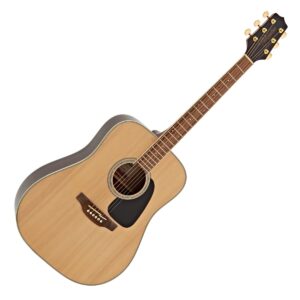 Takamine GD51 Dreadnought Acoustic Natural